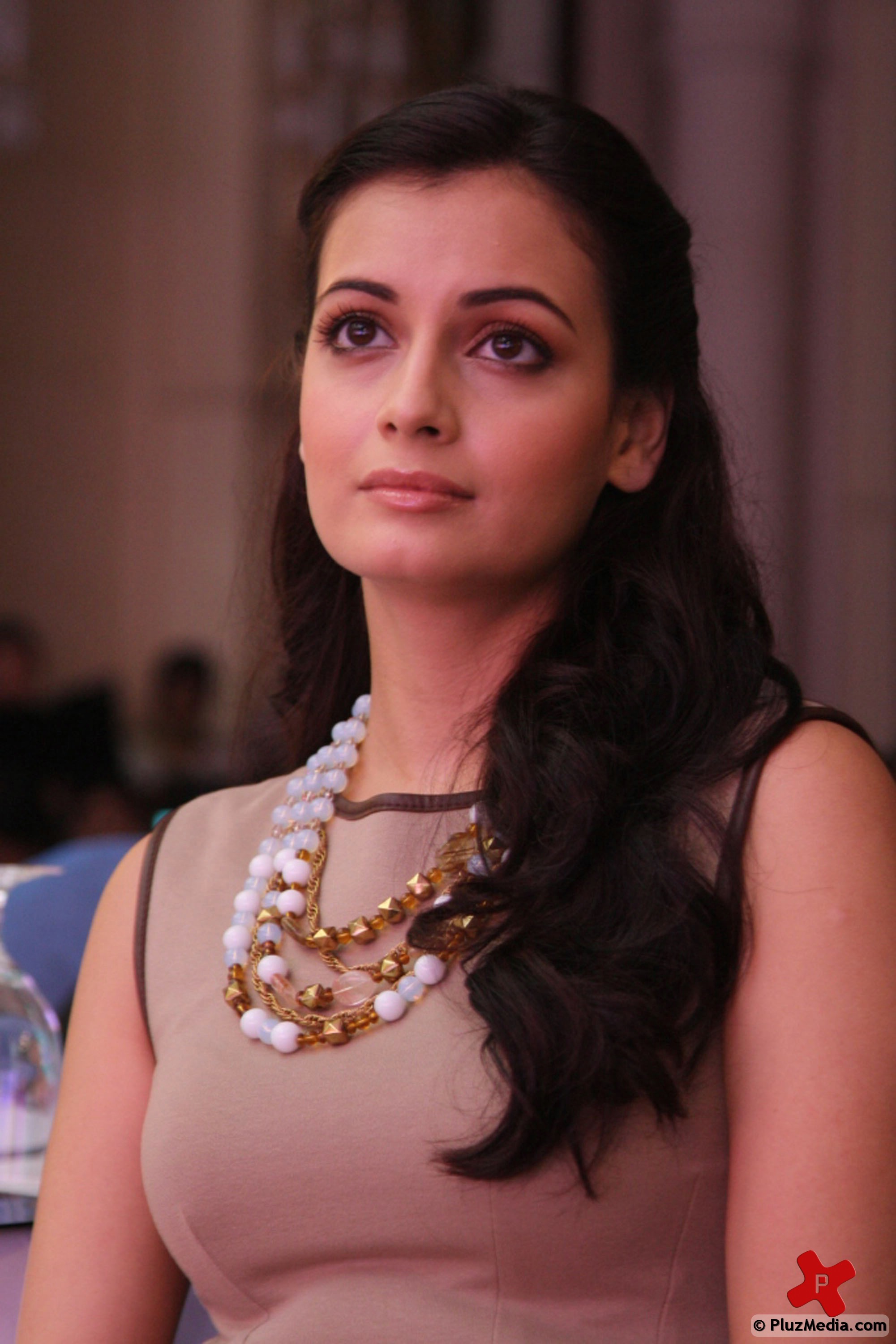 Dia Mirza during a Panasonic new product launch pictures | Picture 75331